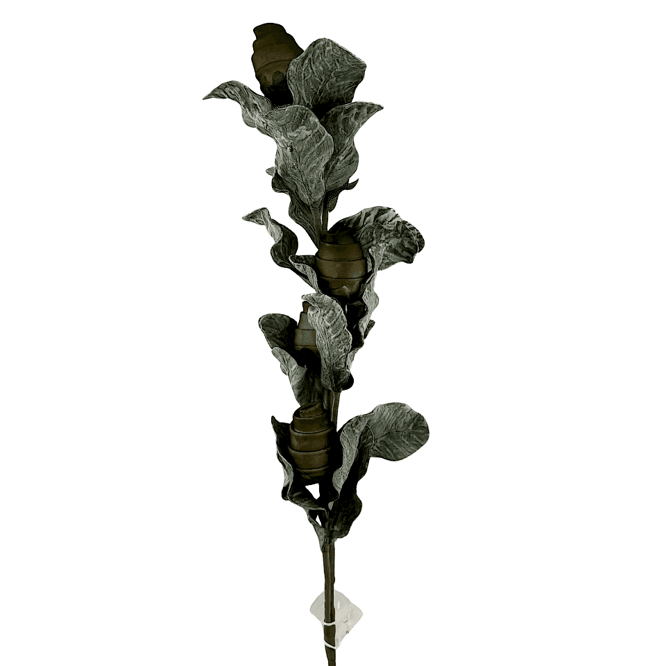Yeşil 5'li Spiraller