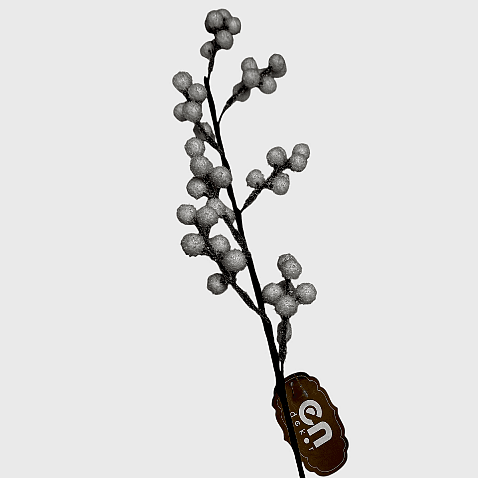 BERRY DALI BEYAZ